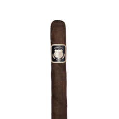 Jericho Hill Willy Lee