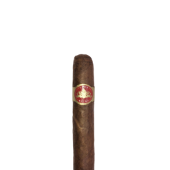 Four Kicks Robusto 