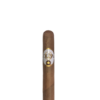 Connecticut Reserve Robusto