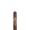 DNA Robusto