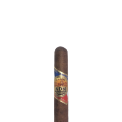 DNA Robusto