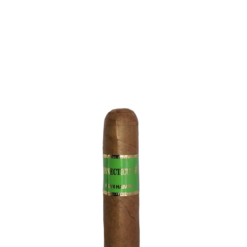 Connecticut #1 Shorty Robusto