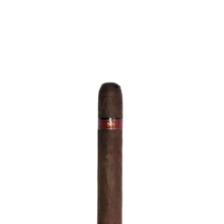 Maduro 88 Robust