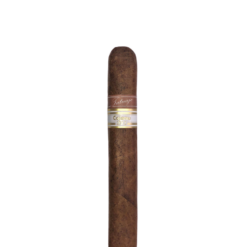 Cojonu 2012 Sumatra (Especial) 