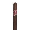 Classico Toro