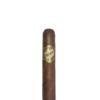 Robusto Natural