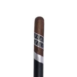 Inverso Robusto