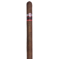 Guillermo Leon WCD 126 Lancero