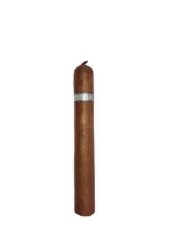 Haut 10 Gordo