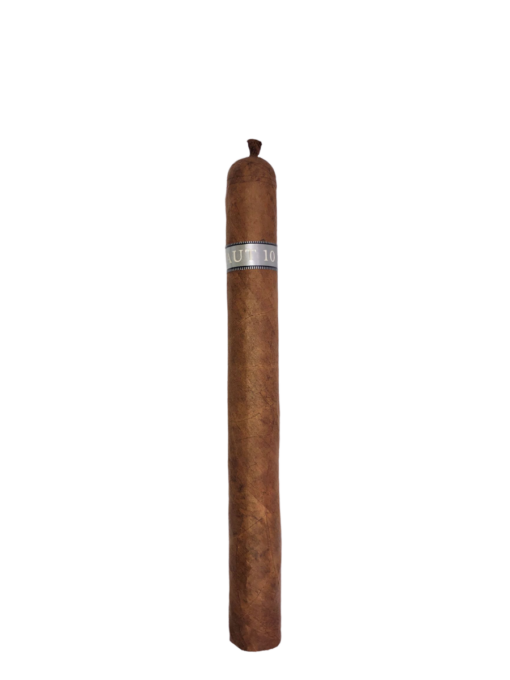 Haut 10 Churchill