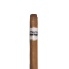 Connecticut Robusto