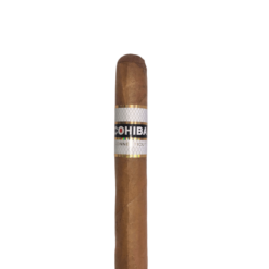 Connecticut Robusto