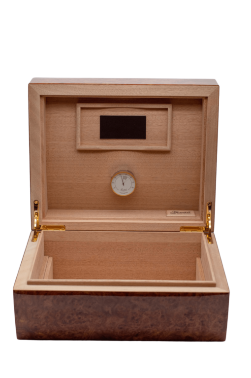 Humidor Concave Elm Veneer
