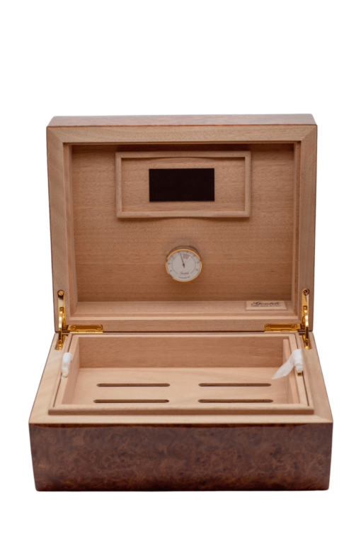 Humidor Concave Elm Veneer