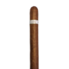 ~ECCJ~ Robusto Extra 25th