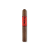Corojo Toro