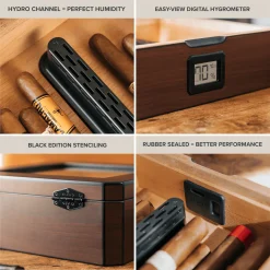 MAG Humidor - Walnut