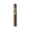 Summa Toro