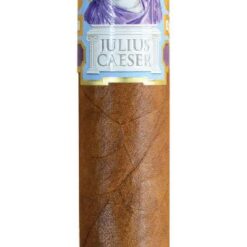 Julius Caeser Toro