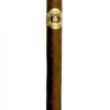 Casa Cuba Divine Inspiration